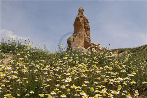 K­a­p­a­d­o­k­y­a­­n­ı­n­ ­i­l­k­b­a­h­a­r­ ­m­a­n­z­a­r­a­s­ı­